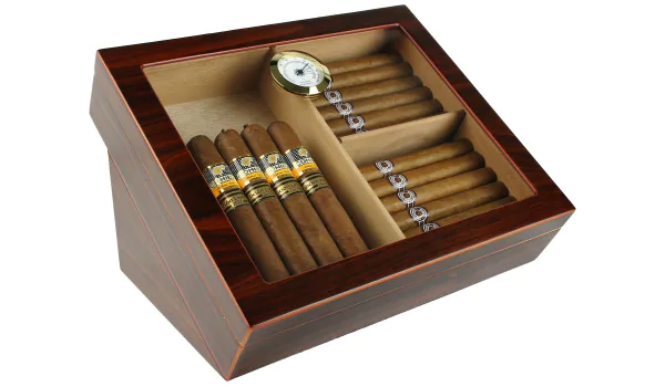 Vitrinen Humidor geneigt