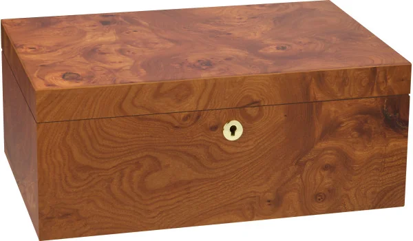adorini Humidor Ulme Specially Selected Grande Foto 5