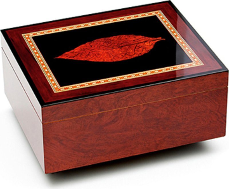 adorini Venezia Deluxe Humidor KOSTENLOSER Versand